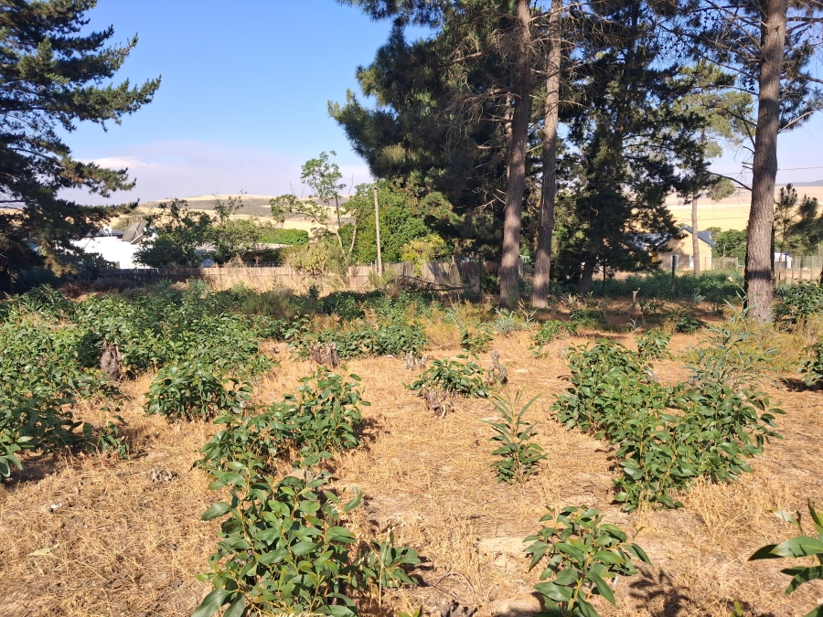 0 Bedroom Property for Sale in Bot River Western Cape